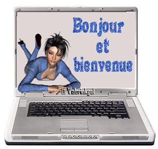 Bonjour tout le monde